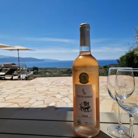 Modern 5 Double Bedrooms, New Ac, Private Pool And Stunning View 800 M From * Sagone (Corsica)